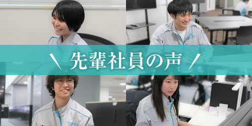 先輩社員の声