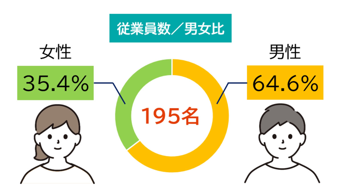 従業員数／男女比